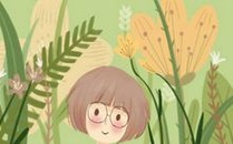 最佳霜降养生食材:白果炖乌鸡