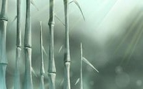 养生必看,霜降节气养生的五要点是什么