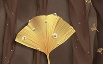 寒露节气养生注意事项 有哪些需要注意的