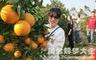 梦见摘橙子