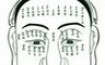 面部痣相察看法:面部痣相图解