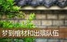 梦到棺材和出殡队伍