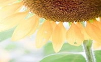 它适用于2022年2月的前五名吗?移动温室是什么意思?