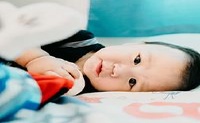 2022年,灯笼节诞生,老虎男孩,八个人物,缺乏火,新英俊的名字