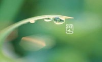 在2022年,雨无法做到,雨水和水是什么?