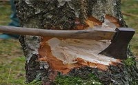梦想着砍大树