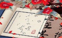 天良大运会特色,吉安花了