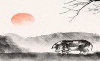 2022年4月生肖猪健康运怎么样 小病小痛流年不利