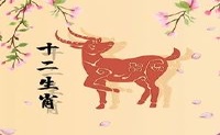 十二生肖女子2022财富大全职业突破瓶颈