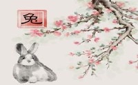 2022年,你将能够祝你好运。