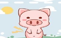 蓝翼的财政是什么?