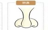 14种鼻型图解 最全鼻子看相解读命运