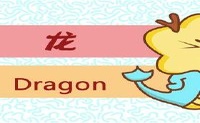 龙人是最繁荣的一年