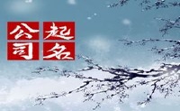 含有维字的公司名字 简洁响亮的