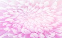 蒂姆周星座财富