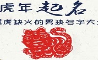 属虎缺火的男孩名字大全集