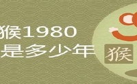 属猴1980寿命多少钱年
