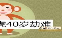 1980属猴的40岁之后有一难是真是假