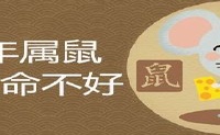 96年属鼠几月命不好