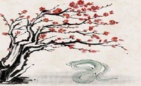 属蛇人一生桃花运 外貌较好带来好桃花