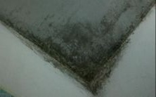 时间不通风的房子易长霉,与之相关的风水问题