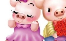 如何让生肖猪男深深爱上你:了解生肖猪男性格特点,解密生肖猪男心理,揭秘生肖猪男喜好——是否偏爱安静之环境?