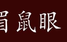 你知道贼眉鼠眼是哪个生肖?还不赶紧来了解一下贼眉鼠眼是哪种动物!