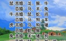 如果你是一只猴子,应该避免与哪些属相的人结婚?探究结婚属性的算命方法