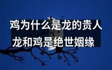 探秘龙和鸡的神秘关系:揭开鸡成为龙贵人背后的原因,探寻龙和鸡的绝世姻缘!