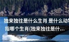 独来独往是哪个动物,对应哪个生肖,最佳答案是什么?