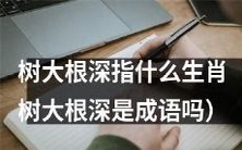 树木巍然挺立,根须深入土壤,这个特征是哪些生肖的标志?