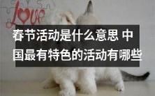 什么是春节活动?中国最独特的传统活动有哪些值得了解?