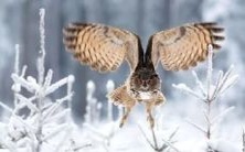 探讨命理与命运间的关系并保持心中清醒,从而掌握人生方向和走向成功的方法