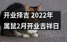 在2022年属鼠者的开业择吉中,2月份将迎来吉祥日!