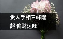 看手相:具备贵人手相中的三峰隆起,预示着偏财运极度旺盛!