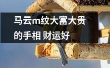 根据手相专家分析,马云手中的纹路预示着财运昌盛,从而成就了大富大贵的事业!