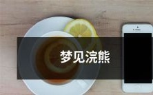 在梦中遇见一只浣熊:它的温柔与机智所释放的启示与象征意义