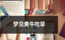 在梦中观察黄牛大口咀嚼青草所带来的奇幻体验