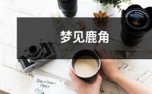 梦见一只华丽的鹿角在草地上闪耀着光芒的绚丽场景