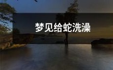 在梦中经历了洗蛇的奇妙体验