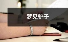 在梦中遇见一只可爱的驴子,畅游在神秘的农田景色中