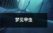 的意义和解析:探索你潜在的力量和自我价值的梦境之旅——解析梦见甲虫的象征和隐喻