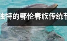 探究鄂伦春族世代流传的特色传统节日之独特魅力