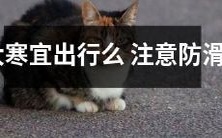 在大寒时节,是否适宜出行?出门注意事项中防滑十分重要