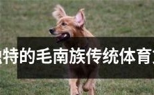 探寻独具特色的毛南族传统体育文化,揭示其多元化、丰富性及其对当代体育文化的积极影响
