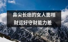 有痣在鼻尖位置的女性具备笔直的财运线,但其财务管理能力相对较差