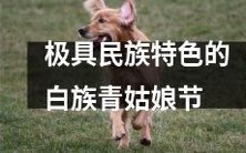 白族传统文化极具特色的青姑娘节庆典活动