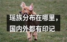 瑶族的分布范围——从国内到国外皆有其足迹所留