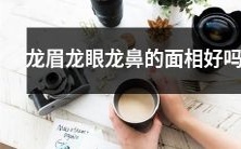 面相学中,具备龙眉、龙眼及龙鼻特征的人的相貌是否有优越性?