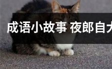 夜郎自大成语的来源及相关故事:骄傲自满的夜郎人及其不可忽视的历史教训